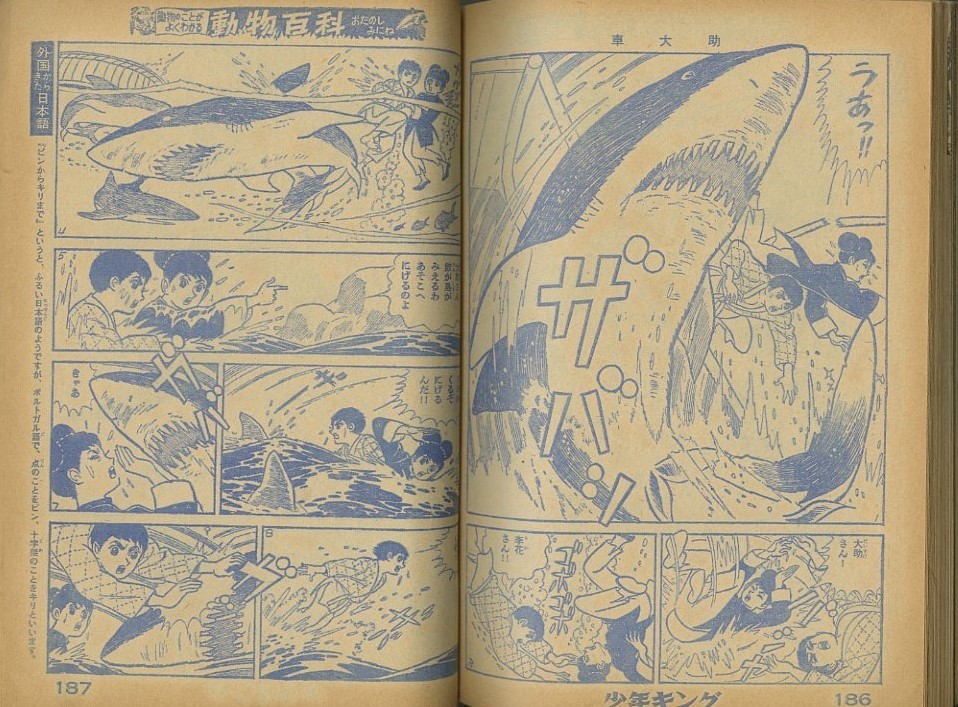 昭和39年「少年キング」20号 「戦国忍法帳」牧英三郎（望月三起